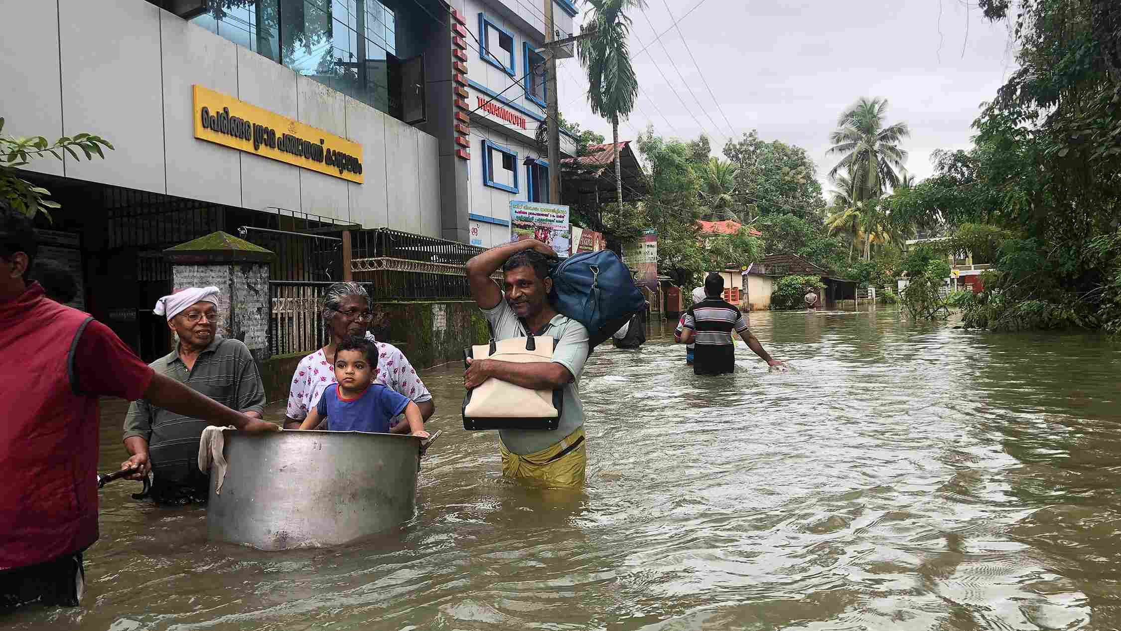 Wayanad Flood Donation: How You Can Support Affected Families